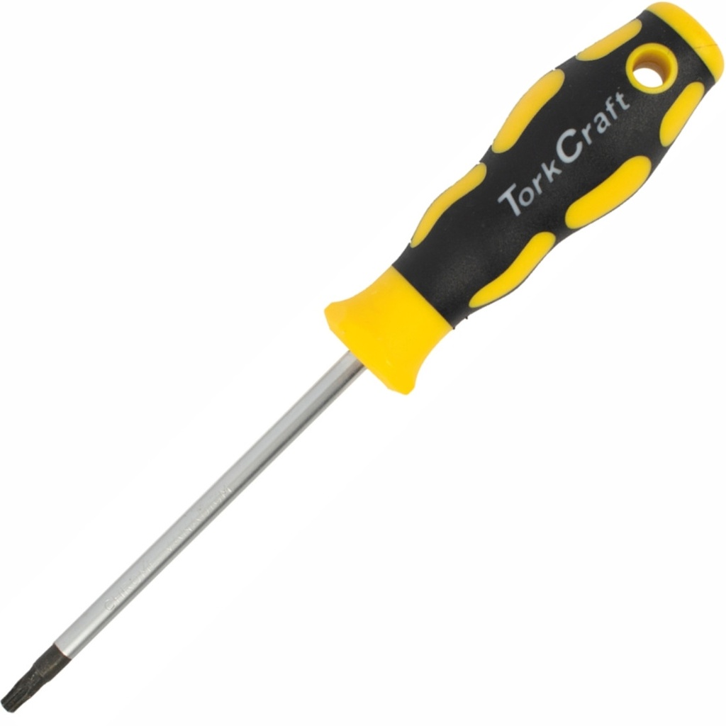 Screwdriver Precision T15 x 100mm Torx  